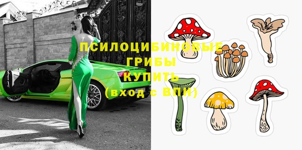 ECSTASY Каменск-Шахтинский