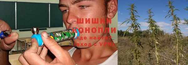 a pvp Каменка