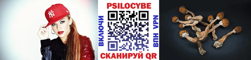 Галлюциногенные грибы Psilocybe  omg как зайти  Серпухов 